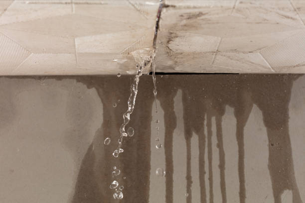 Professional Water Extraction technician working in Little River, AL